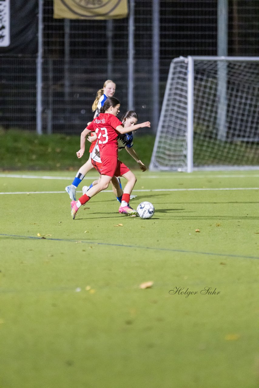 Bild 223 - wBJ Eimsbuettler TV - Hamburger SV : Ergebnis: 1:2